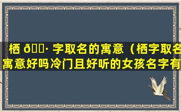 栖 🕷 字取名的寓意（栖字取名寓意好吗冷门且好听的女孩名字有哪 🦉 些）